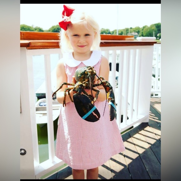 Classic Prep Other - Brand new classic prep dress! Size 7